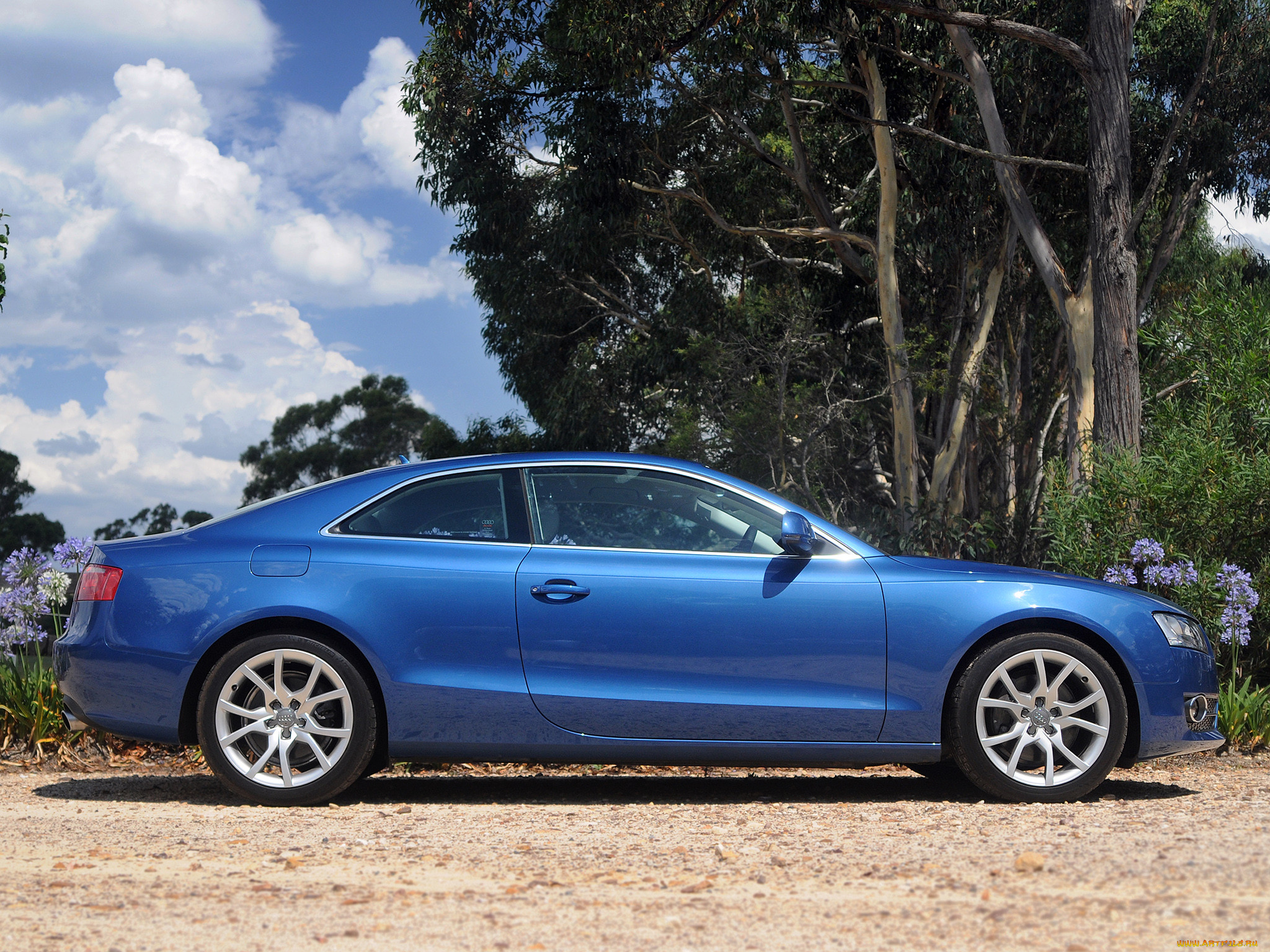 , audi, 3-2, a5, coup, au-spec, 